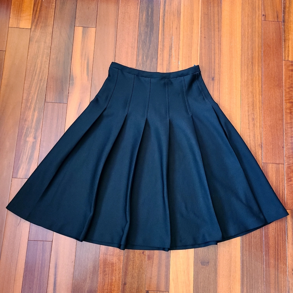Vintage A-line Women's High-waist Black Pleated Skirt Grunge Whimsigoth Witchy